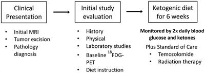 Long Term Survivals in Aggressive Primary Brain Malignancies Treated With an Adjuvant Ketogenic Diet